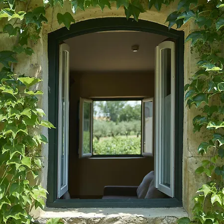מלון Hacienda Zorita Wine & 5*