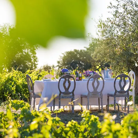 Hacienda Zorita Wine & - Small Luxury 5*