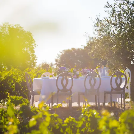 호텔 Hacienda Zorita Wine - Small Luxury 5*