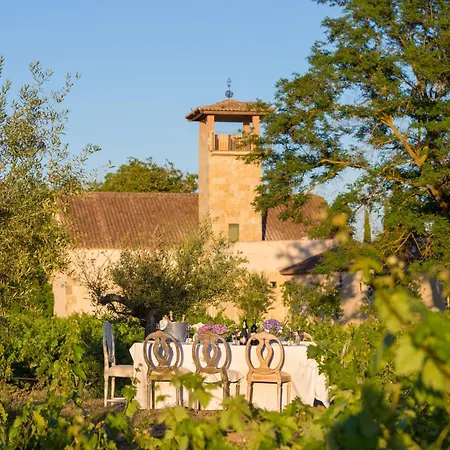 Отель Hacienda Zorita Wine & - Small Luxury Вальвердон