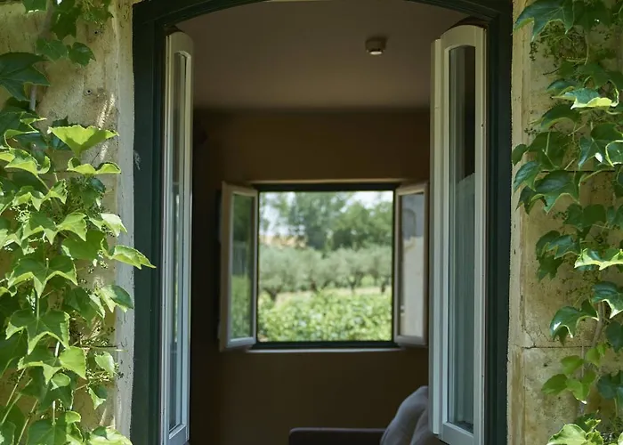 Hacienda Zorita Wine & - Small Luxury