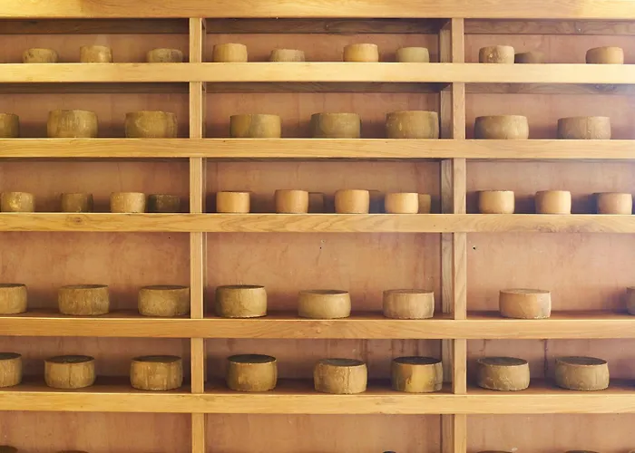 Hacienda Zorita Wine & - Small Luxury