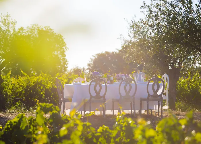 Hotel Hacienda Zorita Wine & - Small Luxury 5*