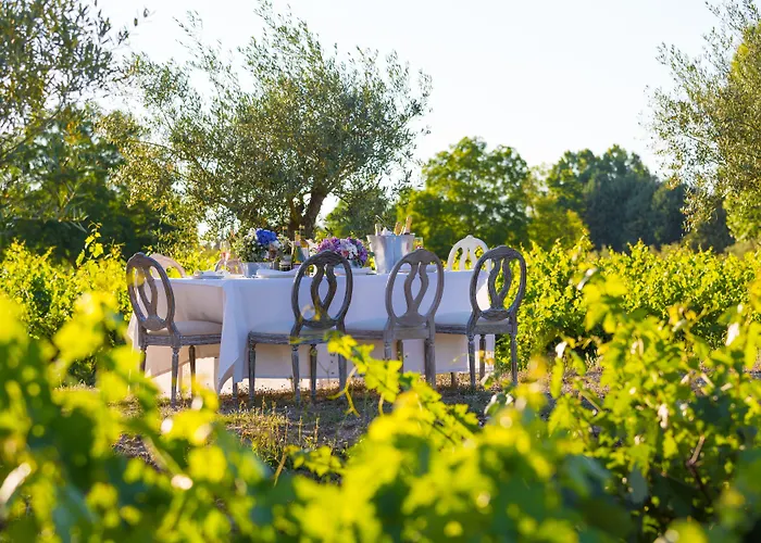 מלון Hacienda Zorita Wine & - Small Luxury Valverdón