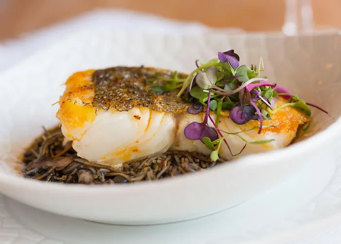 酒店 索里塔葡萄庄园温泉酒店 巴尔韦尔东