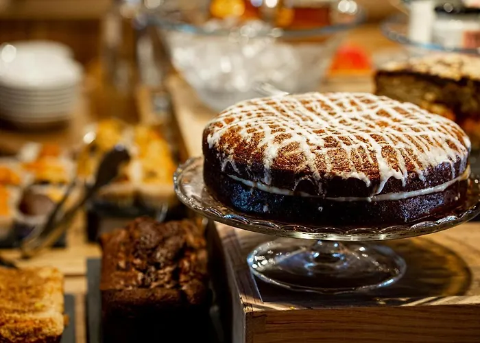 酒店 索里塔葡萄庄园温泉酒店 5*